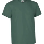 Verde musgo