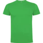 Verde oasis